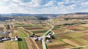Paysage de Saône-et-Loire près de Chalon-sur-Saône, zone d'intervention pour la création de sites internet artisans.