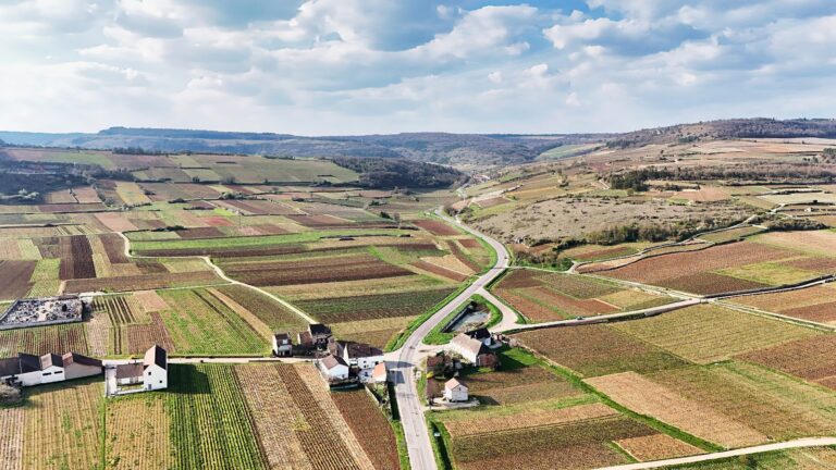 Paysage de Saône-et-Loire près de Chalon-sur-Saône, zone d'intervention pour la création de sites internet artisans.